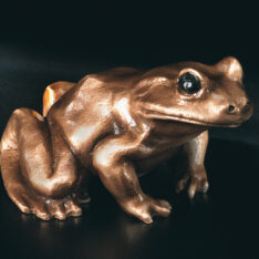 Frosch