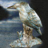 Eisvogel – Bild 2
