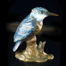 Eisvogel
