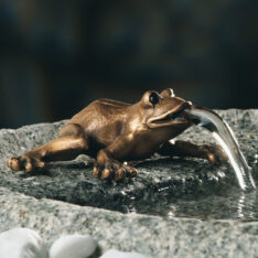 Frosch mit Wasseranschluß
