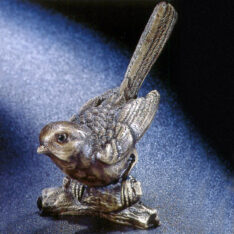 Singvogel
