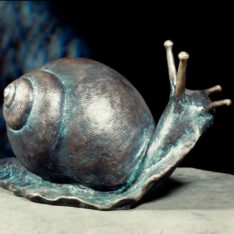 Schnecke