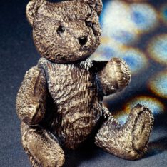 Teddy
