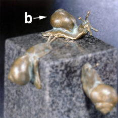 Schnecke b