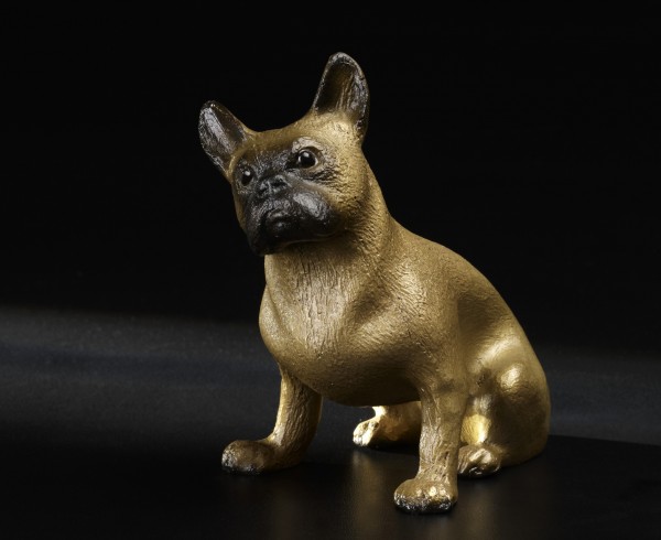 Französische Bulldogge