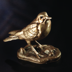 Amsel