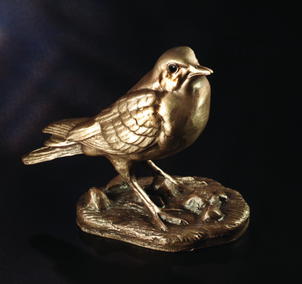 Amsel