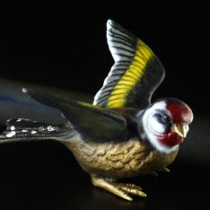 flatternder Distelfink