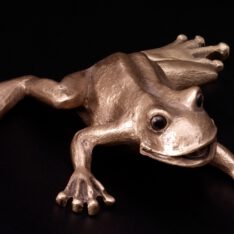 Frosch