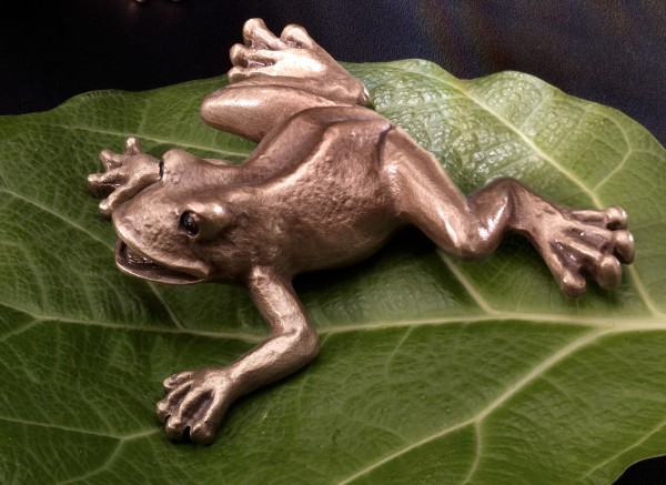 Frosch
