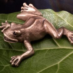 Frosch