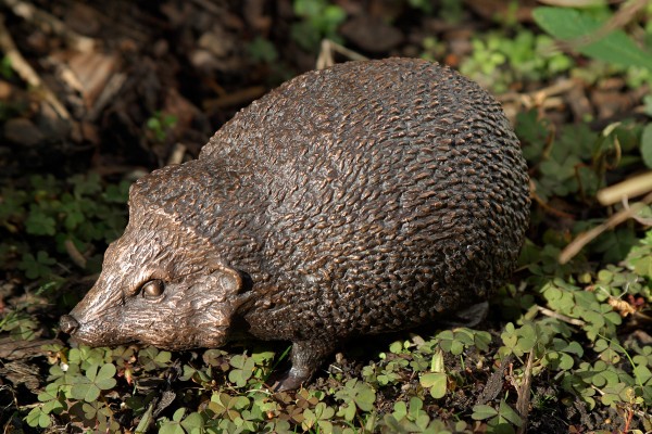Igel