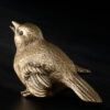 Junger Vogel – Bild 2