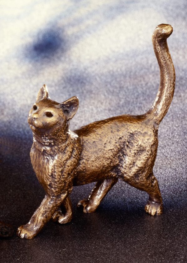 Stehende Katze
