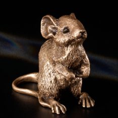 Maus