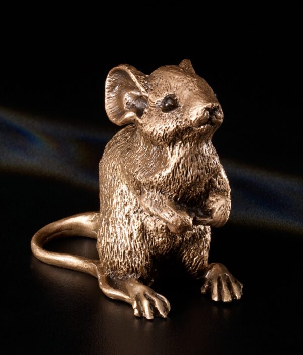 Maus