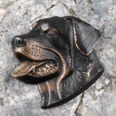Rottweiler - Hundekopf