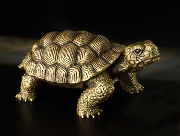 Schildkröte