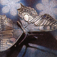 Schmetterling