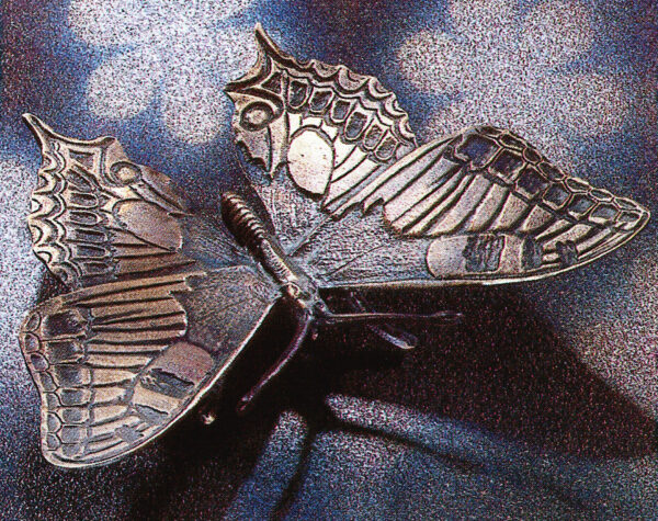 Schmetterling