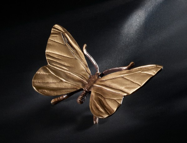 Schmetterling