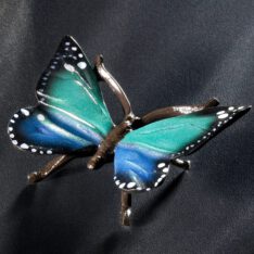 Schmetterling