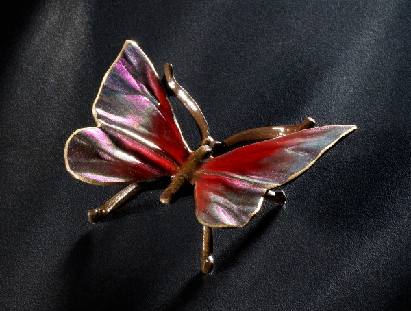 Schmetterling