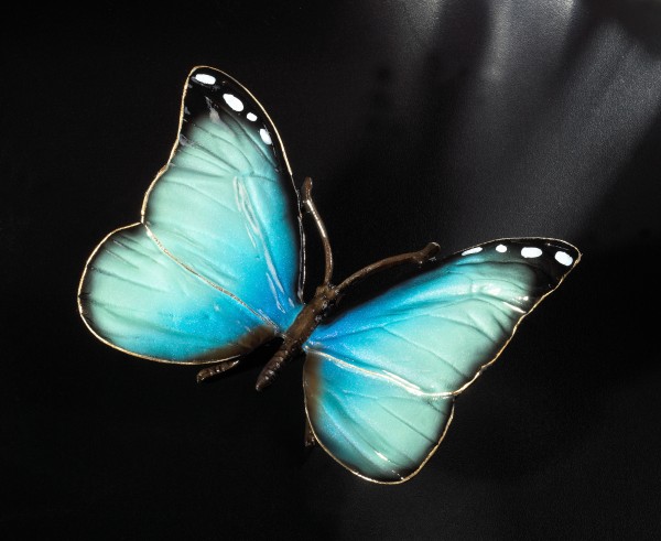 Schmetterling