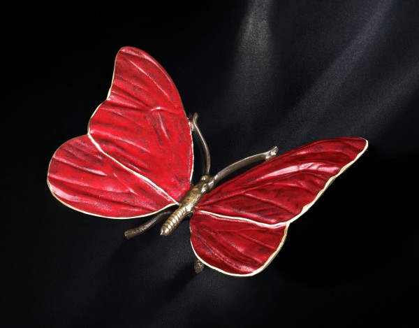Schmetterling