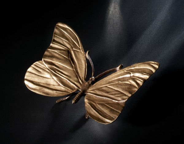 Schmetterling