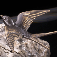 fliegende Schwalbe