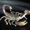 Skorpion – Bild 2
