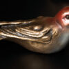 Vogel – Bild 2