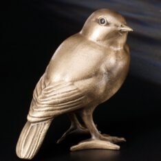 Vogel