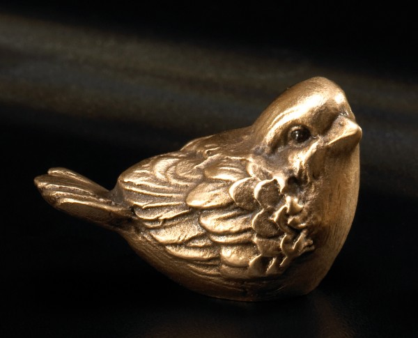 kleiner Vogel