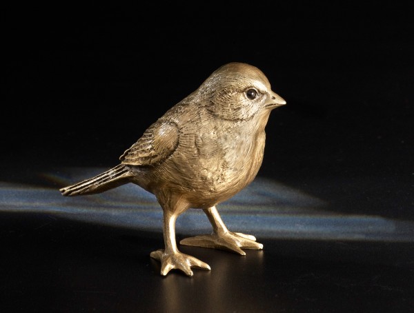 Vogel