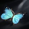Schmetterling – Bild 8