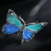 Schmetterling – Bild 6