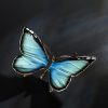 Schmetterling – Bild 5