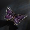 Schmetterling – Bild 4