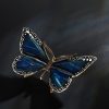 Schmetterling – Bild 3