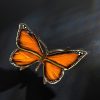 Schmetterling – Bild 2