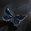 Schmetterling – Bild 9