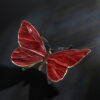Schmetterling – Bild 6