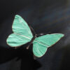 Schmetterling – Bild 5
