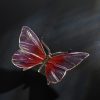 Schmetterling – Bild 3
