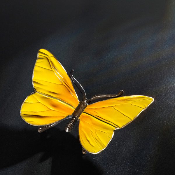 Schmetterling