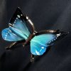 Schmetterling – Bild 8