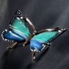Schmetterling – Bild 6