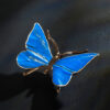 Schmetterling – Bild 8
